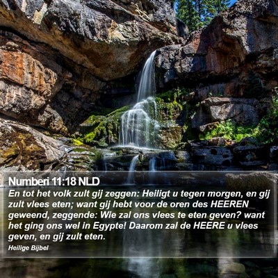 Numberi 11:18 NLD Bible Verse Image