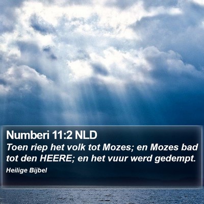 Numberi 11:2 NLD Bible Verse Image