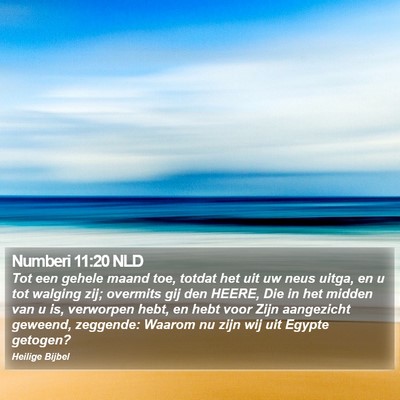 Numberi 11:20 NLD Bible Verse Image