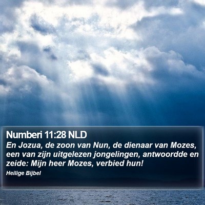 Numberi 11:28 NLD Bible Verse Image