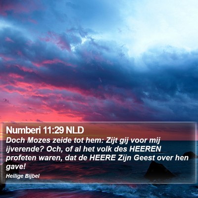 Numberi 11:29 NLD Bible Verse Image