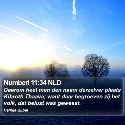 Numberi 11:34 NLD Bible Verse Image