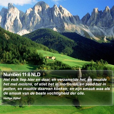 Numberi 11:8 NLD Bible Verse Image