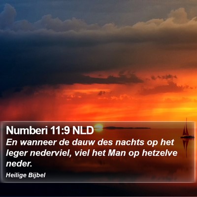 Numberi 11:9 NLD Bible Verse Image