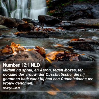 Numberi 12:1 NLD Bible Verse Image
