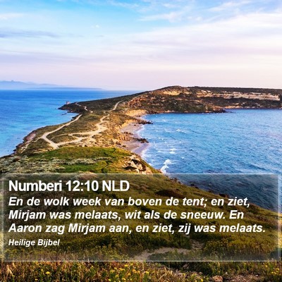 Numberi 12:10 NLD Bible Verse Image