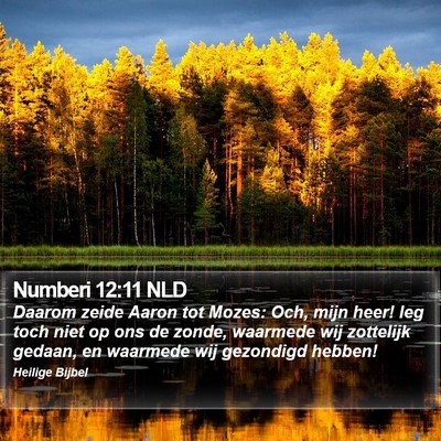 Numberi 12:11 NLD Bible Verse Image