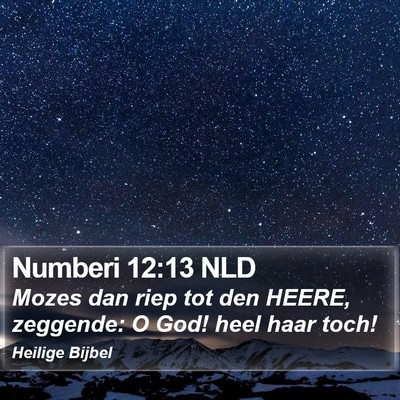 Numberi 12:13 NLD Bible Verse Image
