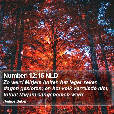 Numberi 12:15 NLD Bible Verse Image