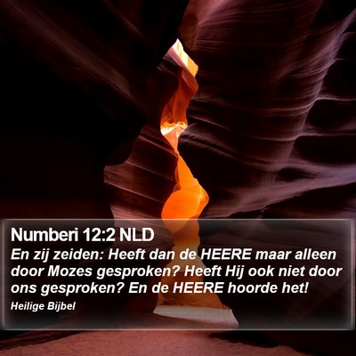 Numberi 12:2 NLD Bible Verse Image