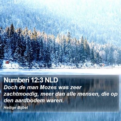 Numberi 12:3 NLD Bible Verse Image