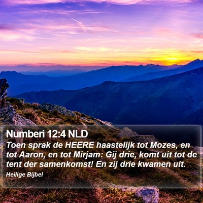 Numberi 12:4 NLD Bible Verse Image