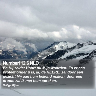 Numberi 12:6 NLD Bible Verse Image