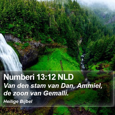 Numberi 13:12 NLD Bible Verse Image