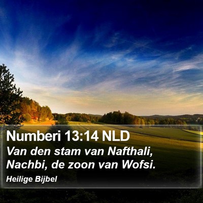 Numberi 13:14 NLD Bible Verse Image