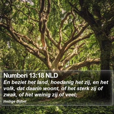 Numberi 13:18 NLD Bible Verse Image