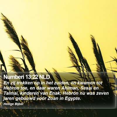Numberi 13:22 NLD Bible Verse Image