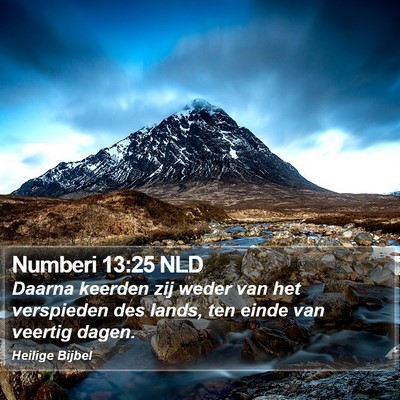 Numberi 13:25 NLD Bible Verse Image