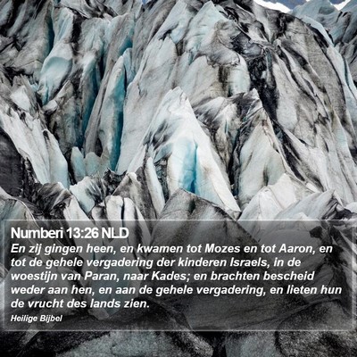 Numberi 13:26 NLD Bible Verse Image
