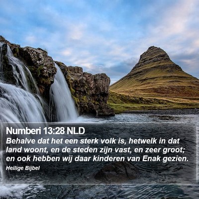 Numberi 13:28 NLD Bible Verse Image