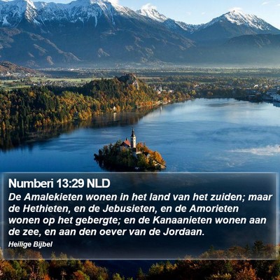 Numberi 13:29 NLD Bible Verse Image