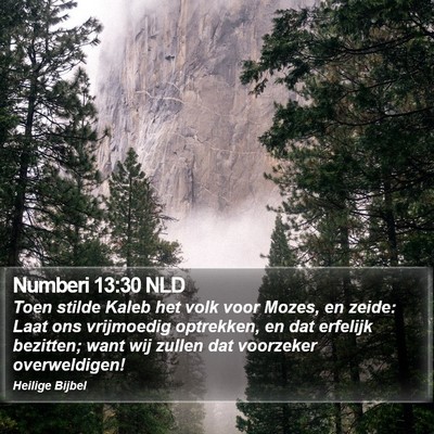 Numberi 13:30 NLD Bible Verse Image
