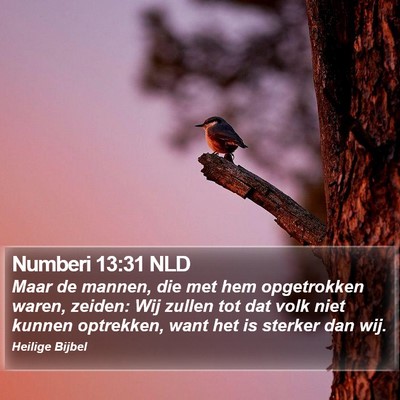 Numberi 13:31 NLD Bible Verse Image