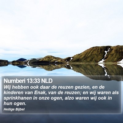 Numberi 13:33 NLD Bible Verse Image