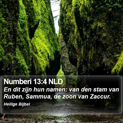 Numberi 13:4 NLD Bible Verse Image