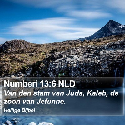 Numberi 13:6 NLD Bible Verse Image