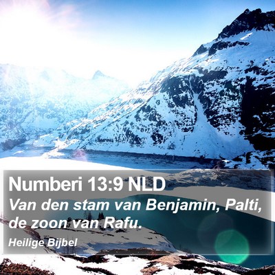 Numberi 13:9 NLD Bible Verse Image