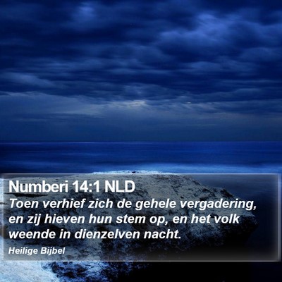 Numberi 14:1 NLD Bible Verse Image