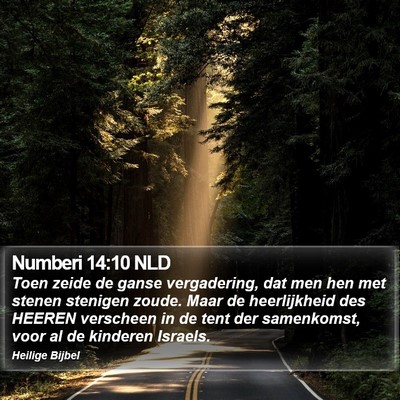 Numberi 14:10 NLD Bible Verse Image