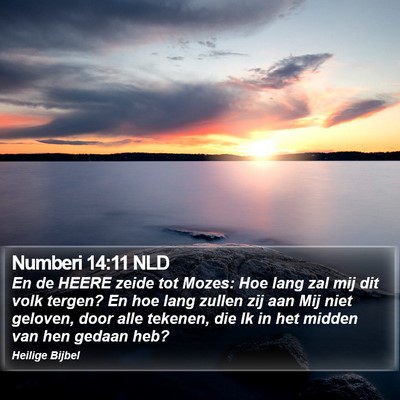 Numberi 14:11 NLD Bible Verse Image
