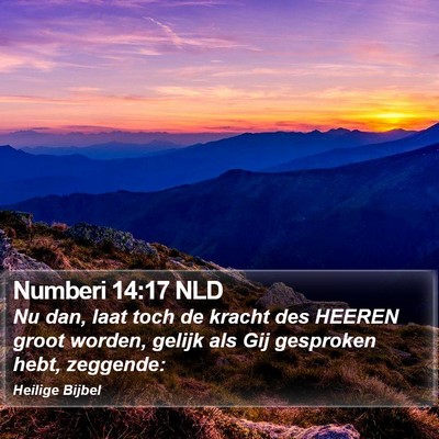 Numberi 14:17 NLD Bible Verse Image
