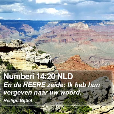 Numberi 14:20 NLD Bible Verse Image