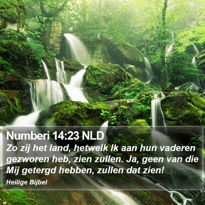 Numberi 14:23 NLD Bible Verse Image