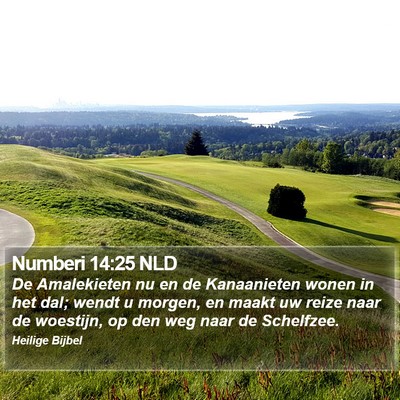 Numberi 14:25 NLD Bible Verse Image