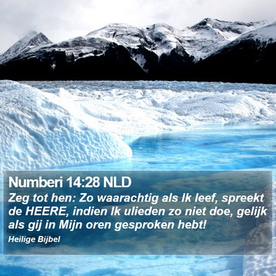 Numberi 14:28 NLD Bible Verse Image
