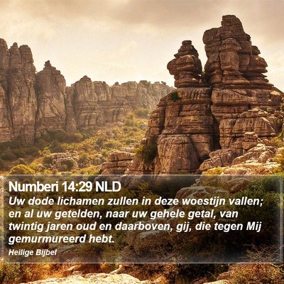 Numberi 14:29 NLD Bible Verse Image
