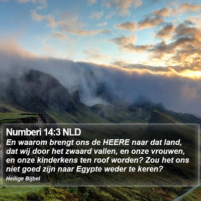 Numberi 14:3 NLD Bible Verse Image