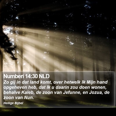 Numberi 14:30 NLD Bible Verse Image
