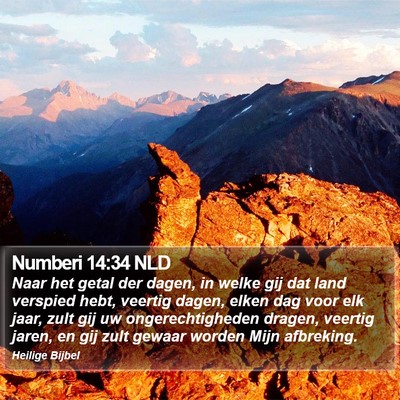Numberi 14:34 NLD Bible Verse Image