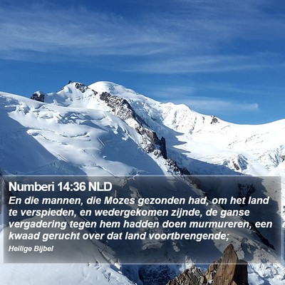 Numberi 14:36 NLD Bible Verse Image