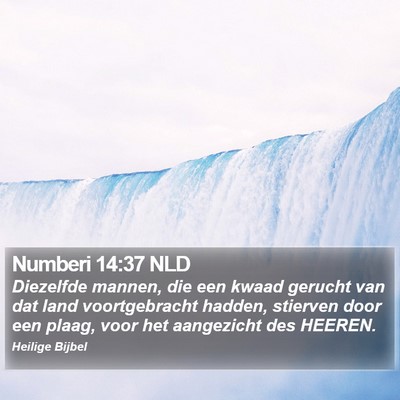Numberi 14:37 NLD Bible Verse Image
