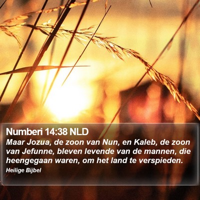 Numberi 14:38 NLD Bible Verse Image