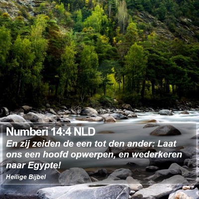 Numberi 14:4 NLD Bible Verse Image