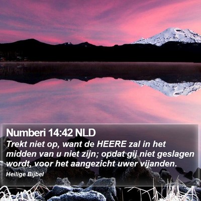 Numberi 14:42 NLD Bible Verse Image