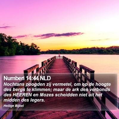 Numberi 14:44 NLD Bible Verse Image