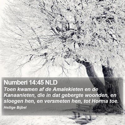 Numberi 14:45 NLD Bible Verse Image